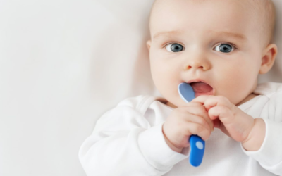 Milyen ételek járulnak hozzá kisbabánk agyi fejlődéséhez?